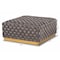Baxton Studio Noah Grey Velvet Upholstered and Gold Finished Square Cocktail Ottoman 170-10863 - alternate 5